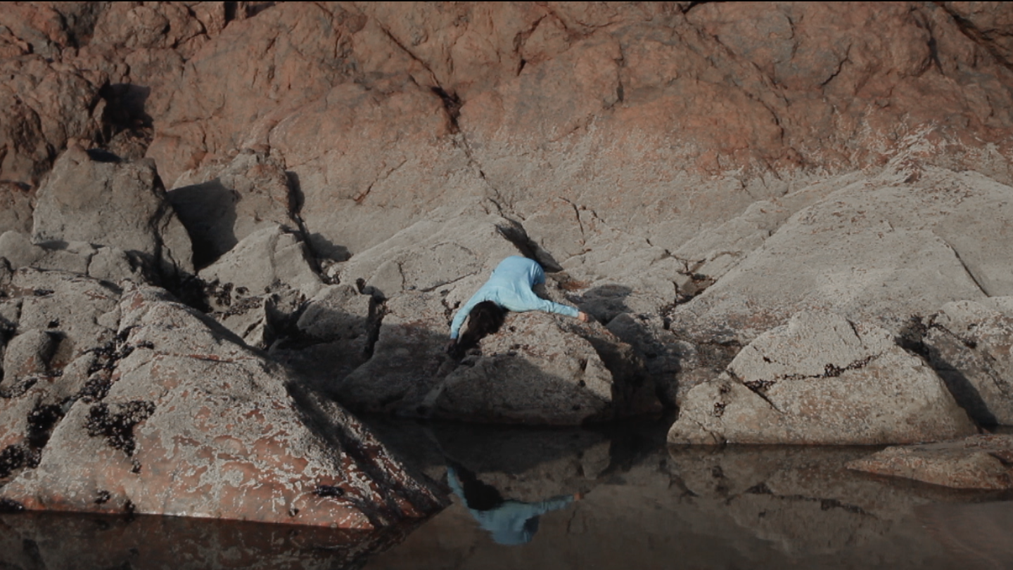 TABLEAUX, Paysages premiers
